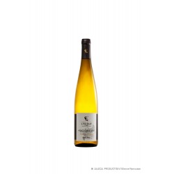 Riesling Grand Cru Vorbourg
